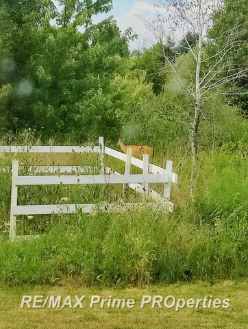 2056 N Duffield Road, Clayton Twp, MI 48433