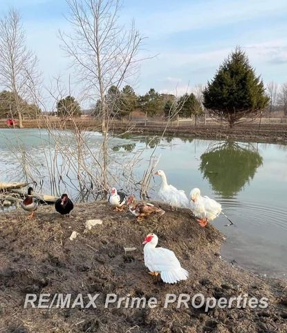 2056 N Duffield Road, Clayton Twp, MI 48433