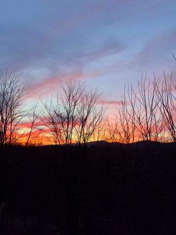 804 Aster ST, Roanoke, VA 24019