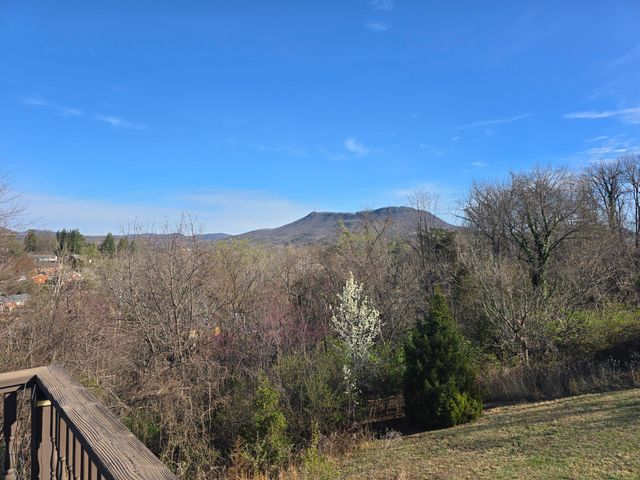 804 Aster ST, Roanoke, VA 24019