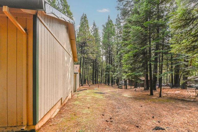 19243 Amador Ave, Pioneer, CA 95666