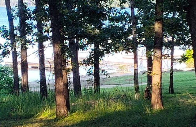 20410 Elises Lazy Lane, Wheatland, MO 65779