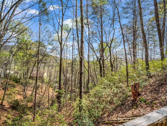 307 Watership Road, Lake Lure, NC 28746