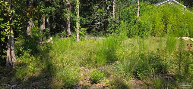 5056 San Miguel St, Milton, FL 32583