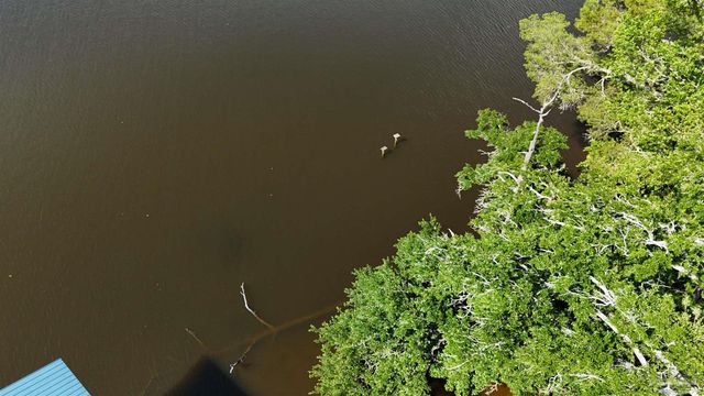 5056 San Miguel St, Milton, FL 32583