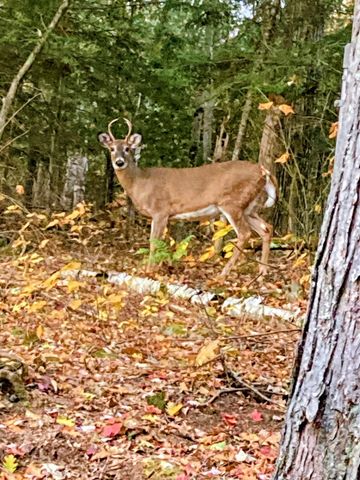 5 Windgate Ter, Haverhill, NH 03785