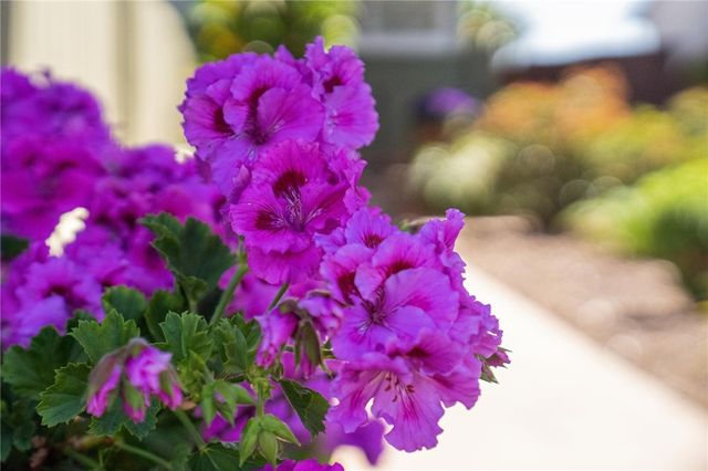 632 Waterview, Alameda, CA 94501