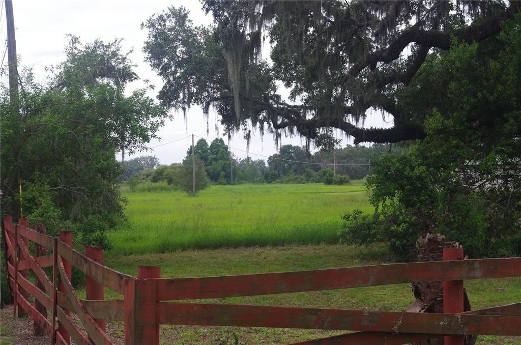 6501 MUCK POND ROAD, Seffner, FL 33584