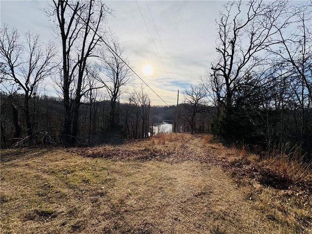 51 NW Ridge Drive, Eureka Springs, AR 72631