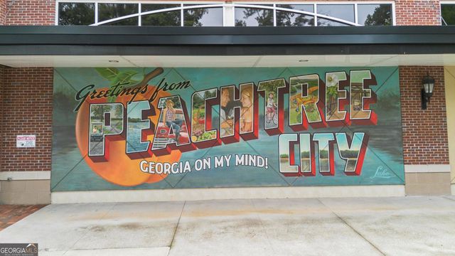 940 Laurel Brooke Avenue, Peachtree City, GA 30269