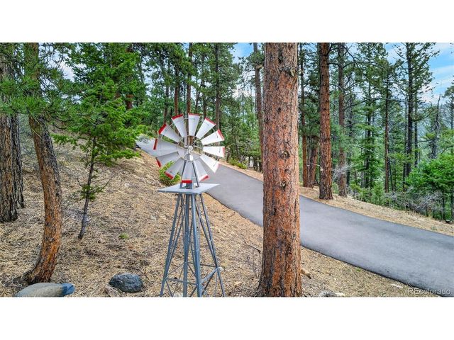 11994 Cochise Cir, Conifer, CO 80433