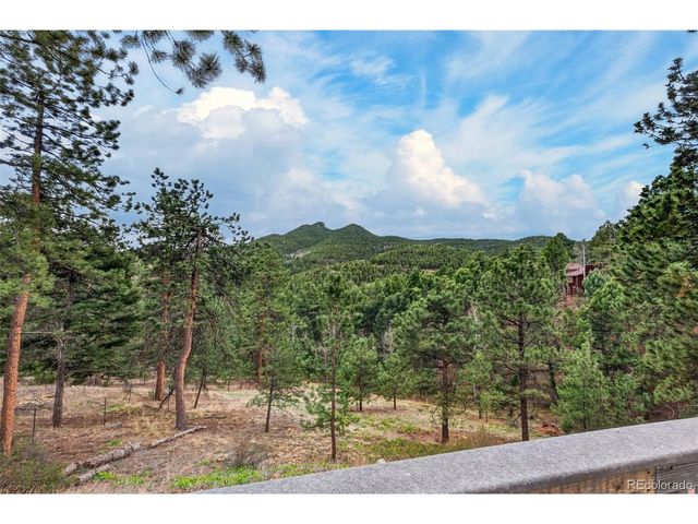 11994 Cochise Cir, Conifer, CO 80433