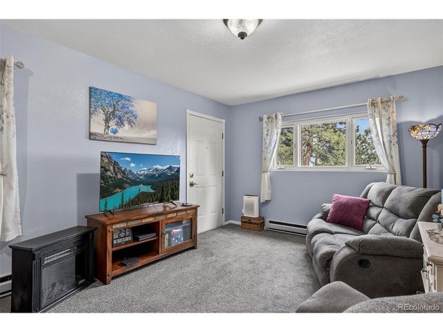 11994 Cochise Cir, Conifer, CO 80433