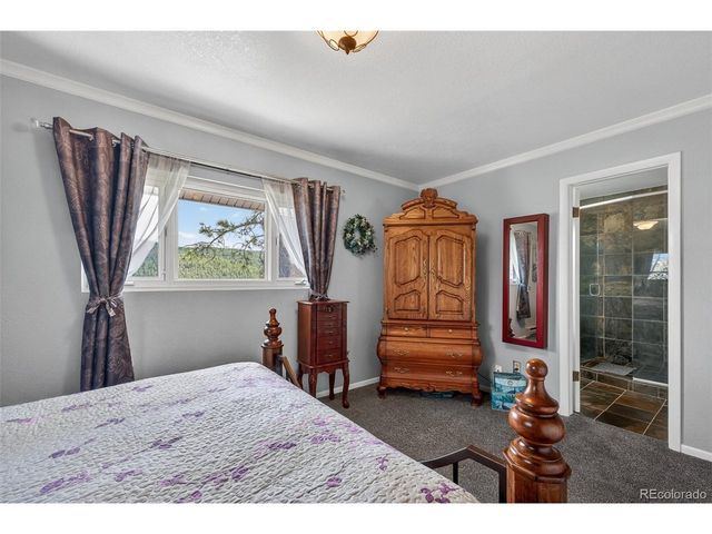 11994 Cochise Cir, Conifer, CO 80433