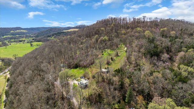 394 Lou Dr, Dowelltown, TN 37059