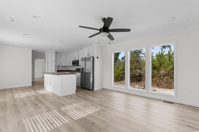 141 Feather Dr, Georgetown, SC 29440