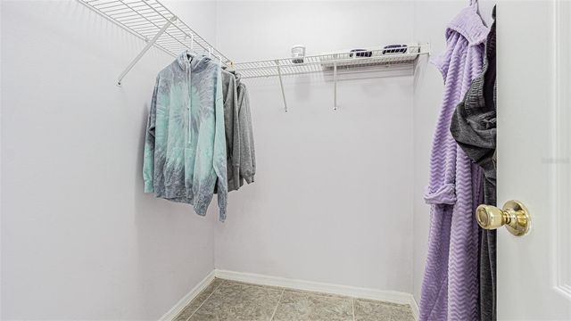 10535 MOSHIE LANE, San Antonio, FL 33576