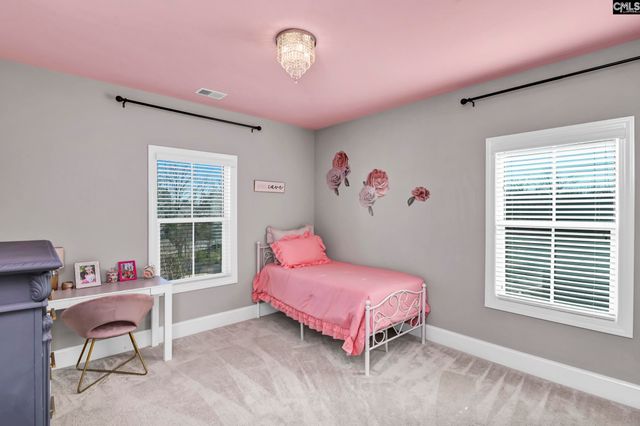 307 Brookridge Drive, Chapin, SC 29036