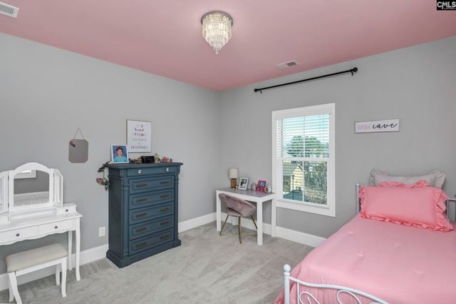 307 Brookridge Drive, Chapin, SC 29036