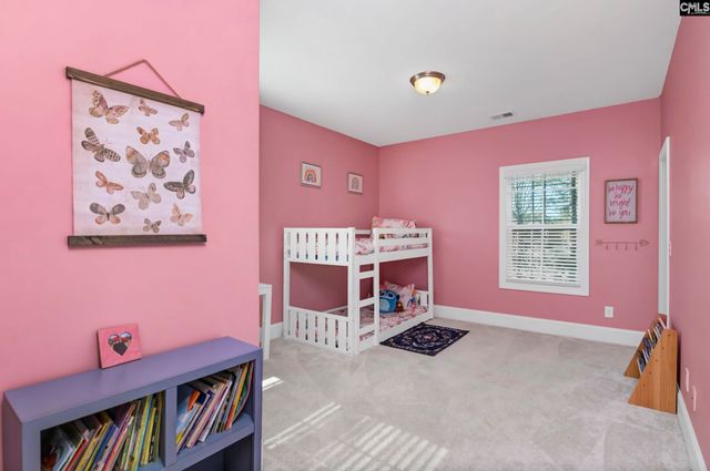 307 Brookridge Drive, Chapin, SC 29036