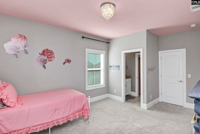 307 Brookridge Drive, Chapin, SC 29036