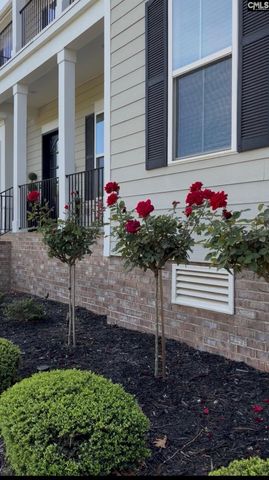 307 Brookridge Drive, Chapin, SC 29036