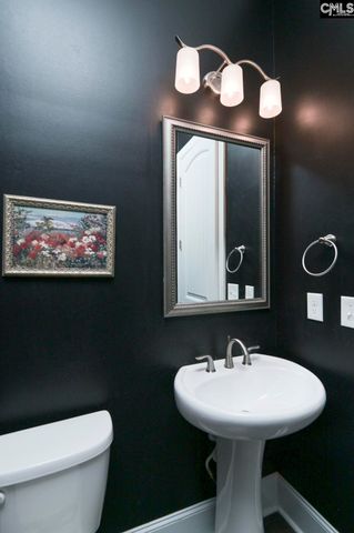 307 Brookridge Drive, Chapin, SC 29036