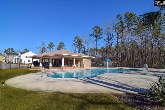 307 Brookridge Drive, Chapin, SC 29036