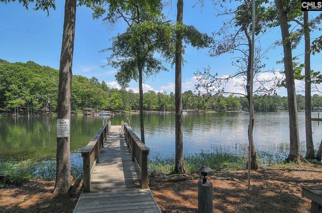307 Brookridge Drive, Chapin, SC 29036