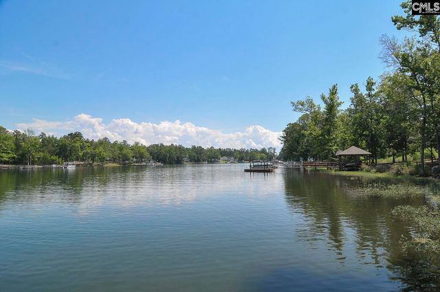 307 Brookridge Drive, Chapin, SC 29036