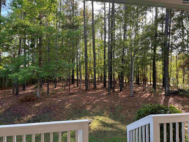 307 Brookridge Drive, Chapin, SC 29036