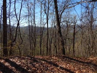 #13 & 14 Burnt Leaf Lane, Hayesville, NC 28904