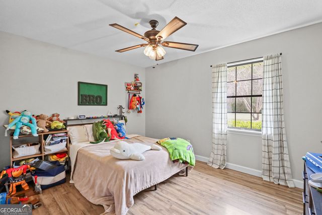 4314 Old Hoboken Road, Blackshear, GA 31516