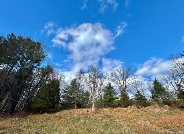 335 Tempaloni Rd, Spring Glen, NY 12483