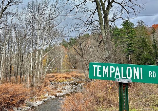 335 Tempaloni Rd, Spring Glen, NY 12483