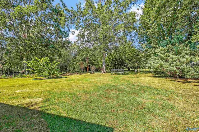 90 Terry Lynn Circle, Somerville, AL 35670