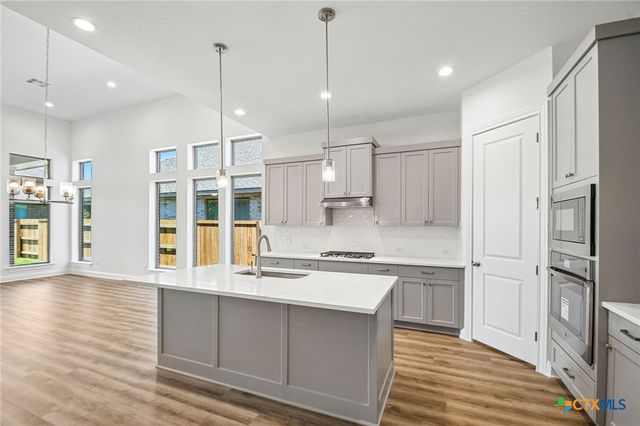 533 Prickly Poppy Loop, Kyle, TX 78640