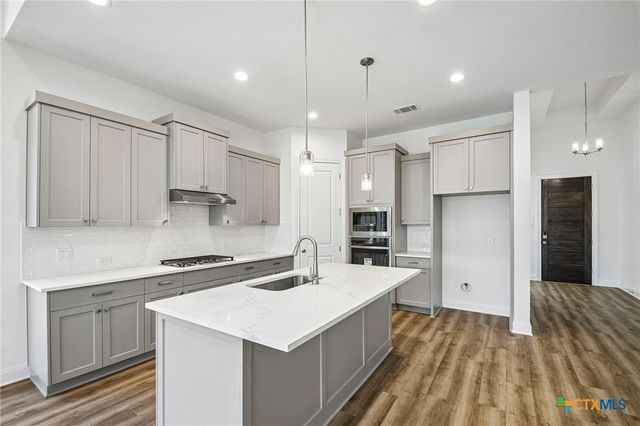 533 Prickly Poppy Loop, Kyle, TX 78640