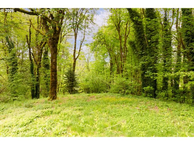 219 BLAINE Rd, Woodland, WA 98674