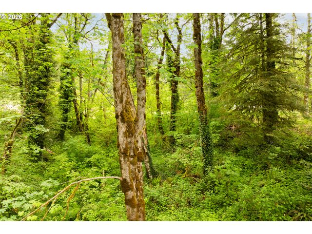 219 BLAINE Rd, Woodland, WA 98674