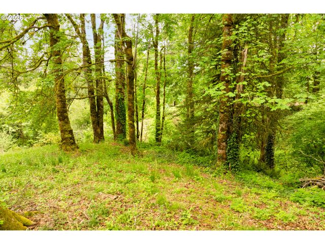 219 BLAINE Rd, Woodland, WA 98674