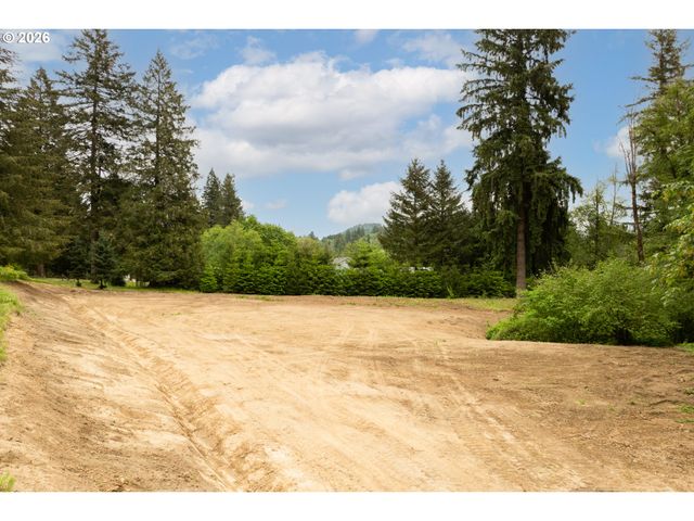 219 BLAINE Rd, Woodland, WA 98674