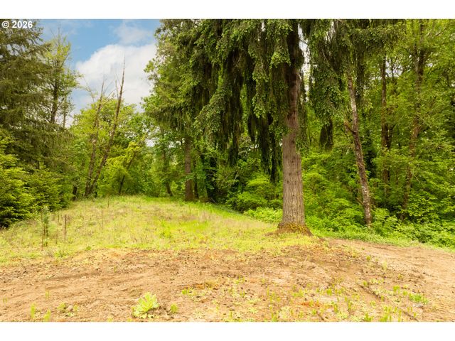 219 BLAINE Rd, Woodland, WA 98674