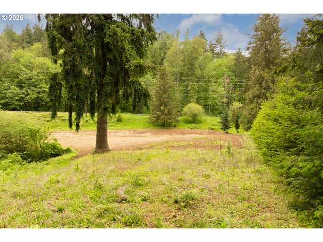 219 BLAINE Rd, Woodland, WA 98674