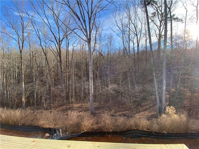 87 Gresham Court, Dawsonville, GA 30534