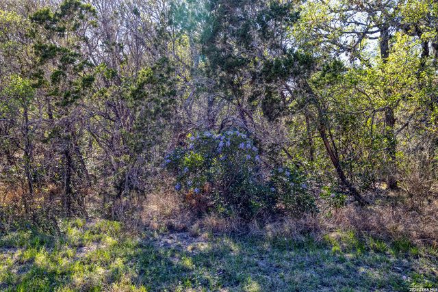 496 County Road 246, Hondo, TX 78861