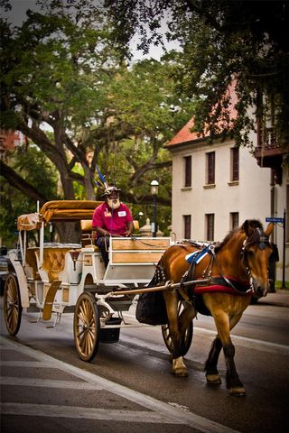 166 MARTIN LUTHER KING AVENUE, St Augustine, FL 32084