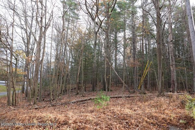 0 Manorville Road, Saugerties, NY 12477