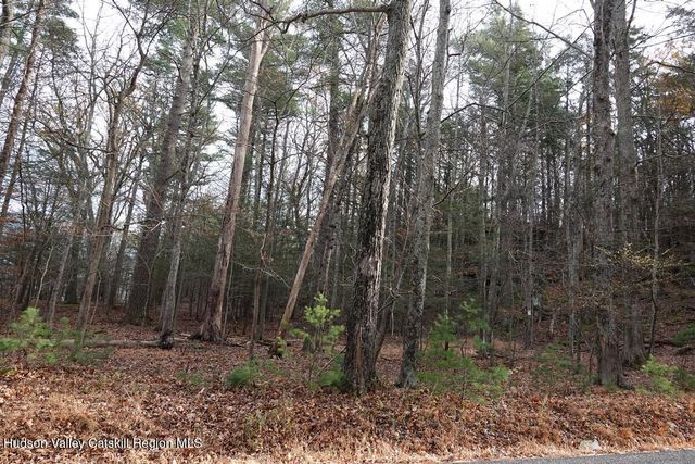 0 Manorville Road, Saugerties, NY 12477