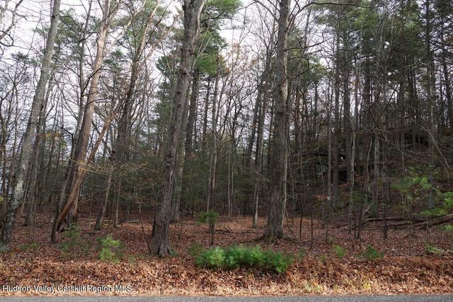 0 Manorville Road, Saugerties, NY 12477